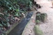 C órrego que nasce na Floresta da Tijuca
