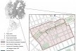 Planta com o zoneamento e o sistema viário da área central de Curitiba na década de 1970