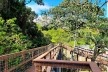 Parque Municipal Nair Bello, imagem da passarela com destaque para maciço arbóreo, São Paulo SP Brasil, 2020. Secretaria Municipal do Verde e do Meio Ambiente