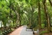 Parque Augusta, São Paulo SP, 2021