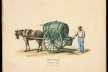 Carroça d'água. Estampa do álbum litográfico Lembranças do Brasil, de Briggs e Ludwig, 1846–1849