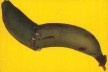 Cartaz da 20ª Bienal Internacional de Arte de São Paulo (detalhe), de Rodolfo Vanni