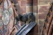 Quimera na fachada da Catedral de Notre-Dame de Strassbourg