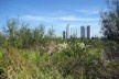 Parque Ecológico Costanera Sur, Buenos Aires