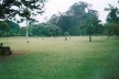 Praça com massa de vegetação ao fundo. Parque do Ibirapuera