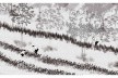 Armadura da paisagem. Infraestrutura verde nas encostas do Morro da Formiga, perspectiva sistema agroflorestal (trecho 3), Rio de Janeiro RJ Brasil, 2021. Arquiteta Larissa de Paula Scheuer
