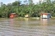 Algumas moradias integrantes do projeto Street River na Ilha do Combu