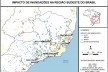 Impacto de inundações na região Sudeste do Brasil
