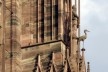Escultura de cegonha na fachada da Catedral de Notre-Dame de Strassbourg