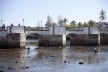 36. Ponte antiga sobre o Rio Gilão, Tavira
