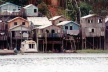 Figura 3 – Casas sobre palafitas no Rio Negro, adequadas às cheias do rio