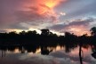 Nascer do sol no cerrado, 2021