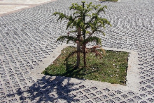 Renovação do Largo da Batata