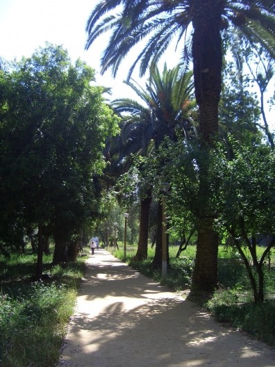 O relvado no Parque da Quinta dos Lilases na primavera de 2008, antes de ser substituído pelo gramado, em 2010