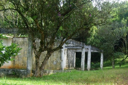 Ruínas do Antigo Zoológico