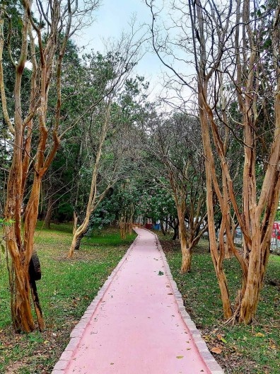 Readequação do Parque Municipal Raul Seixas, São Paulo SP Brasil, 2019. Secretaria do Verde e Meio Ambiente – Departamento de Implantação, Projetos e Obras/ Secretaria Municipal da Pessoa com Deficiência