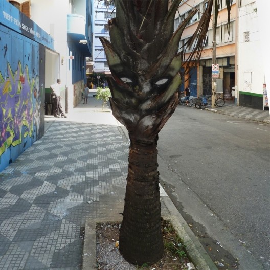 Palmeira com pequenos desenhos que simulam olhar de ser antropomórfico