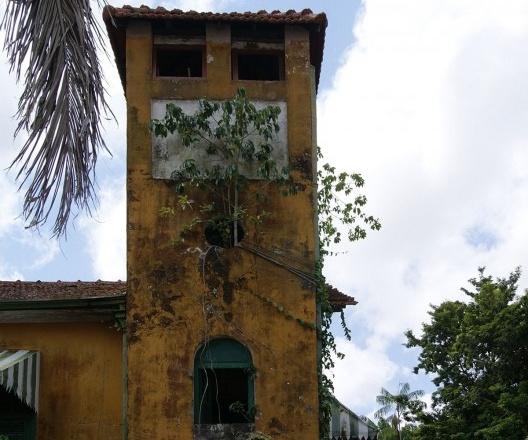 Torre com sinais de umidade e vegetação crescente, 2011