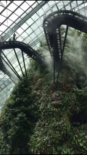 Cloud Forest, vista do Jardim Secreto, Singapura