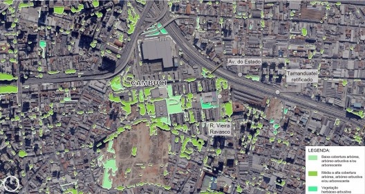 Sobreposição do mapeamento de vegetação de 2020 com a ortofoto de 2017 da extremidade norte do Bairro do Cambuci