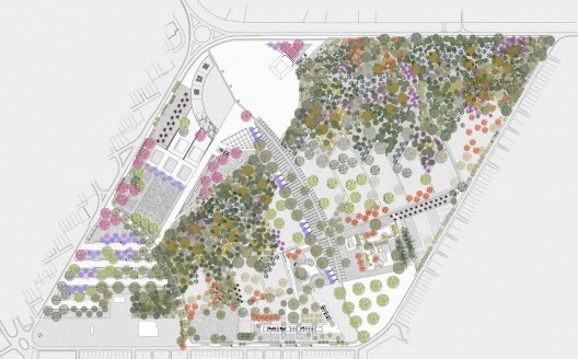 Florescimento Inverno