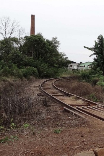 Ruínas da arquitetura industrial nas proximidades da estação ferroviária de Viadutos