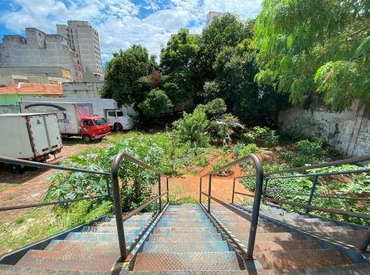 Jardim do futuro