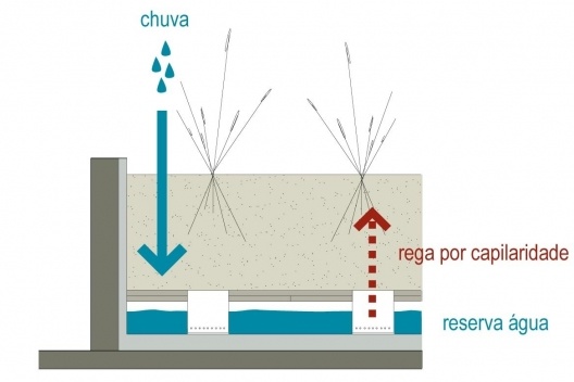 Praça Victor Civita - Museu Aberto da Sustentabilidade, ciclo da água – \"planter\", São Paulo. Levisky Arquitetos Associados, 2008