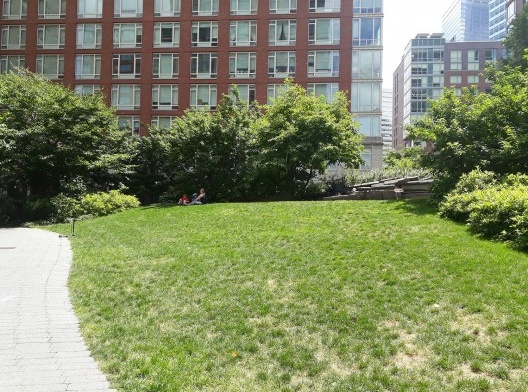 Teardrop Park, brincadeiras na área gramada, Nova York, 2018