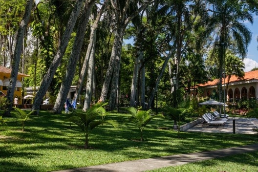 Árvores do jardim do Hotel Clube dos 500