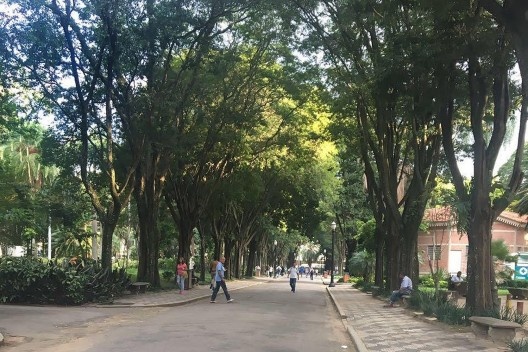 Parque da Luz, São Paulo SP Brasil
