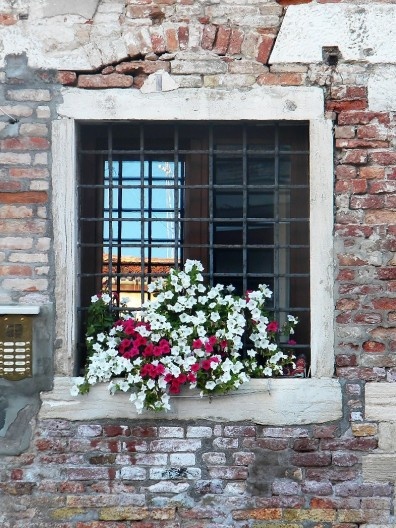 Janela com floreira, Veneza