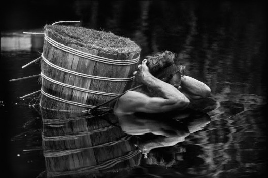 Coletor de piaçava, rio Aracá, Amazonas. 2004