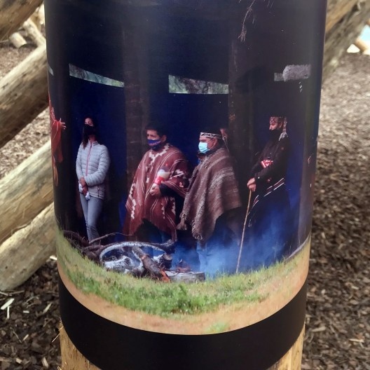 Chileans and Mapuche, Elemental, detalhes do interior com pôsteres