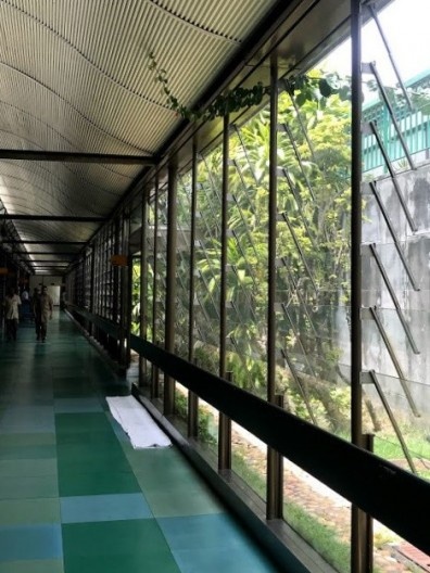 Relação da circulação interna com a vegetação