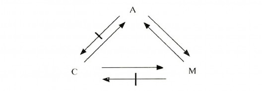 Figura 2. Relações entre atratores, configuração e movimentos onde A = atratores; C = configuração; M = movimento