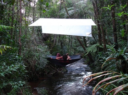 Guilherme Teixeira, Unidade Epifita, 2008