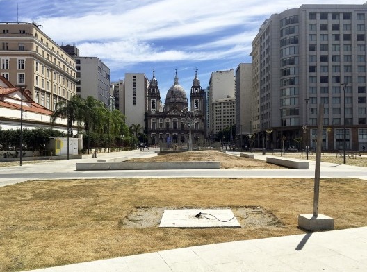 Escassez de vegetação da área recém-criada