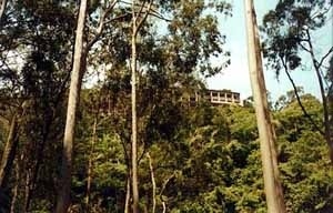 Vista do edifício na paisagem