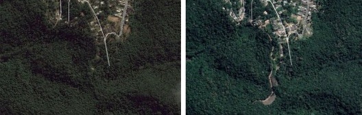 Na área de Mata Atlântica devastada que recebeu serviço irregular de terraplenagem é possível verificar ao fundo troncos de árvores que foram derrubadas