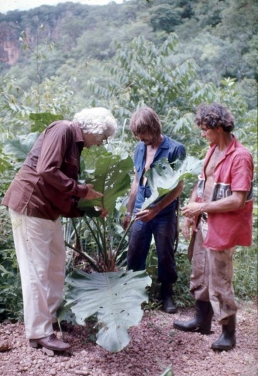 Burle Marx e equipe em expedição botânica ao Pantanal, em Mato Grosso, em 1978