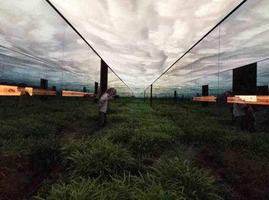 Vertigo Horizontal, Pavilhão da Argentina