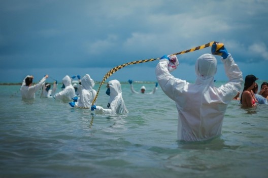 Ação de ativismo nas praias de João Pessoa
