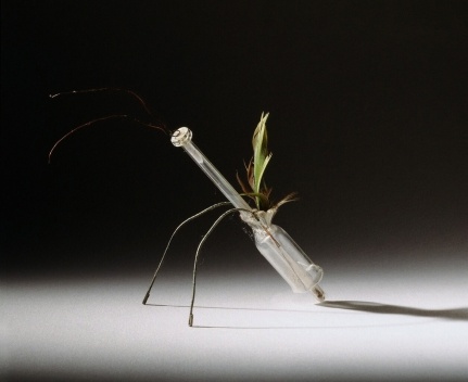 Objeto, Lina Bo Bardi