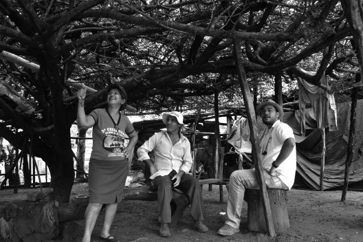 Em um show de como se integrar com a natureza Zé Torino e Dona Nelinda apresentam seus projetos de agroflorestal e recuperação de nascentes