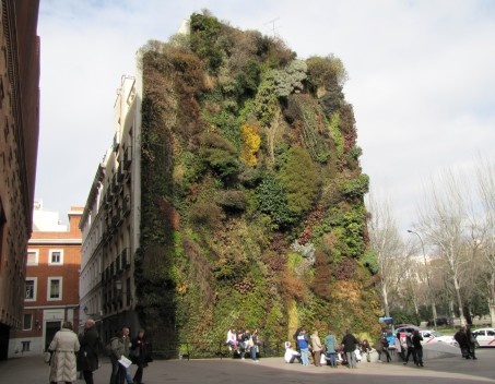 Painel de Patrick Blanc junto ao Museu CaixaForum em Madrid, finalizado em 2007 (ver nota 5)
