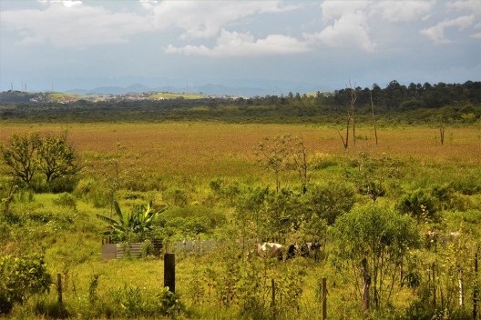 Urbanização do Banhado, vista a partir do Banhado, São José dos Campos SP, 2019. Coordenadores Jeferson Tavares e Marcel Fantin / PExURB IAU USP