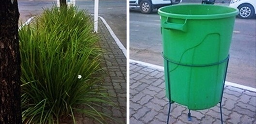 Plantio de Moréias (dietes iridioides) e modelo de lixeira do canteiro, Barra do Bugres MT