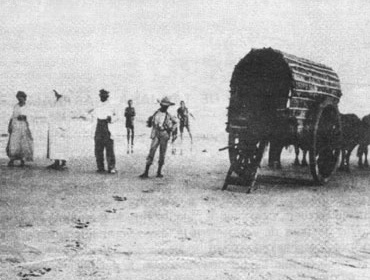 Veranistas do início do séc XX