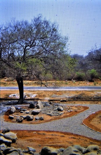 Crassuletum: muretas concretadas e caminhos preenchidos com pedrisco